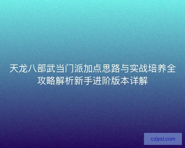 天龙八部武当门派加点思路与实战培养全攻略解析新手进阶版本详解